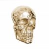 Wandskulptur Skull 40cm zlatá