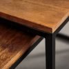 Konferenční stolek Elements set 2ks Sheeshamové dřevo
